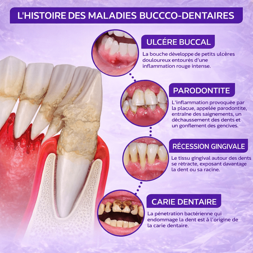 VioGloss™ Pro Dental Therapy – Formule Naturelle pour Gencives Saines et Haleine Fraîche - BOUTIQUE SN