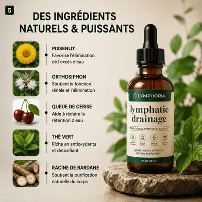 Drainant Lymphatique - Anti-Rétention d'Eau · Ventre, Jambes, Visage - BOUTIQUE SN