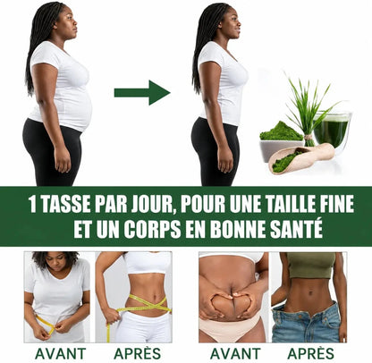 Navitas Poudre d'herbe d'orge - BOUTIQUE SN